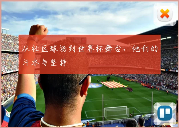 从社区球场到世界杯舞台,他们的汗水与坚持