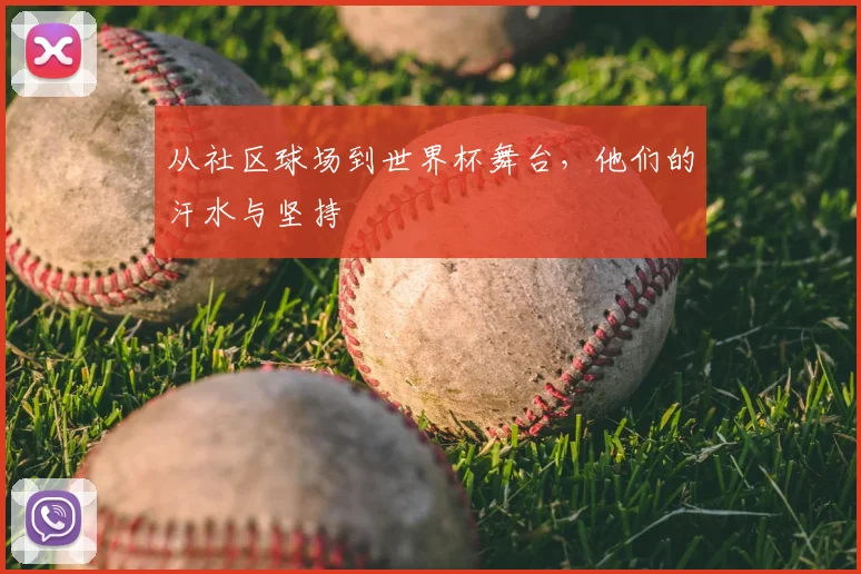 从社区球场到世界杯舞台，他们的汗水与坚持